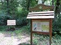 110-Huvosvolgytol-Tatabanyaig-20140616-18