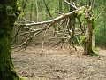 112-Huvosvolgytol-Tatabanyaig-20140616-18