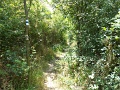117-Huvosvolgytol-Tatabanyaig-20140616-18