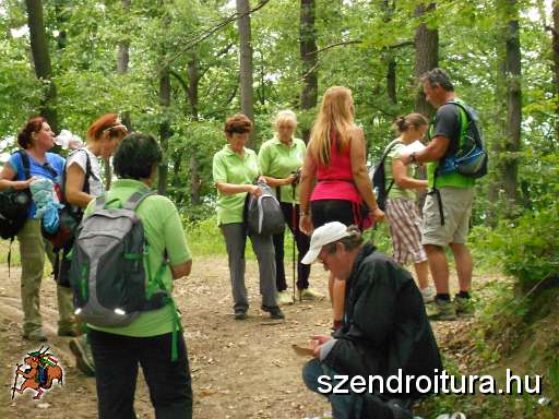 104-Kohasz-kek-TT-20140621.JPG