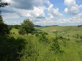 102-Kohasz-kek-TT-20140621