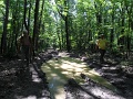 107-Kuruc-portya-TT-20140607-Vizvalaszto