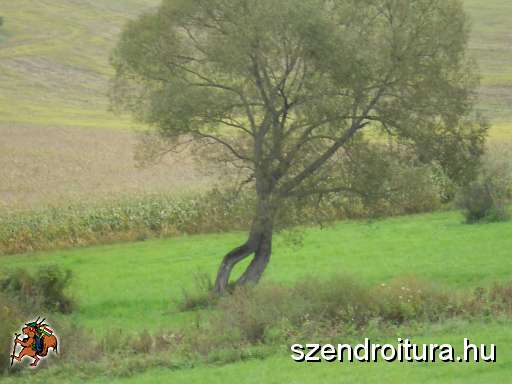 101_Magashegy.jpg