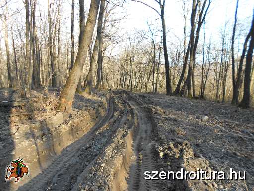 104-Nepek-tavasza-TT-20140315.JPG