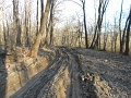 104-Nepek-tavasza-TT-20140315