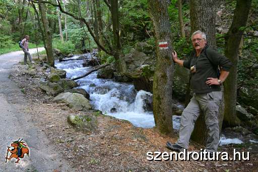 101-Nyari-banzaj.jpg