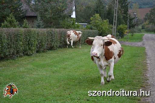 109_Szendro_korul_gyalogszerrel.jpg
