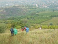 102-Tokaji-bortura-TT