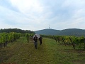 106-Tokaji-bortura-TT