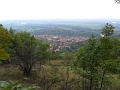 109-Tokaji-bortura-TT