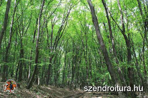 109-vitezlo-2014-album2.JPG