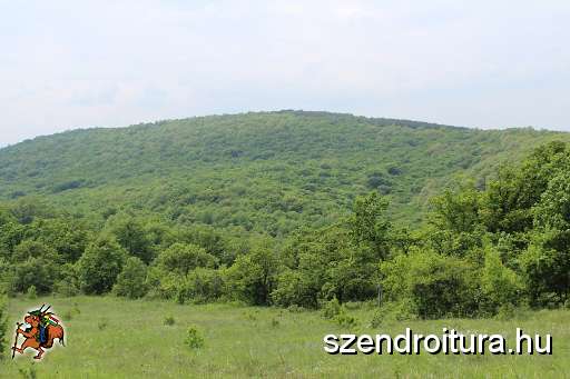 113-vitezlo-2014-album2.JPG