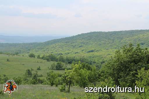 115-vitezlo-2014-album2.JPG