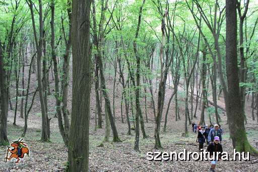 117-vitezlo-2014-album2.JPG