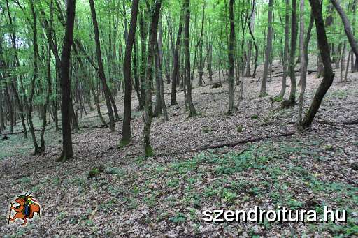118-vitezlo-2014-album2.JPG