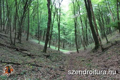 119-vitezlo-2014-album2.JPG