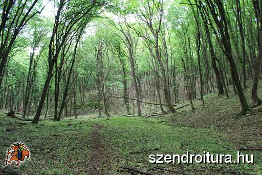 120-vitezlo-2014-album2.JPG