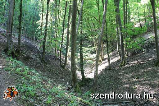 121-vitezlo-2014-album2.JPG