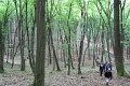 117-vitezlo-2014-album2