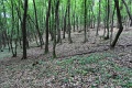 118-vitezlo-2014-album2