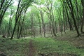 120-vitezlo-2014-album2