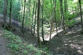 121-vitezlo-2014-album2