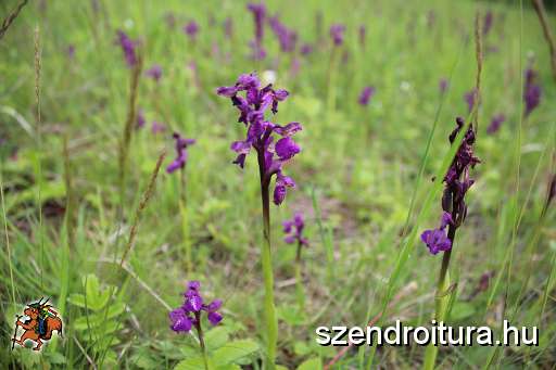 104-vitezlo-2014-album4.JPG