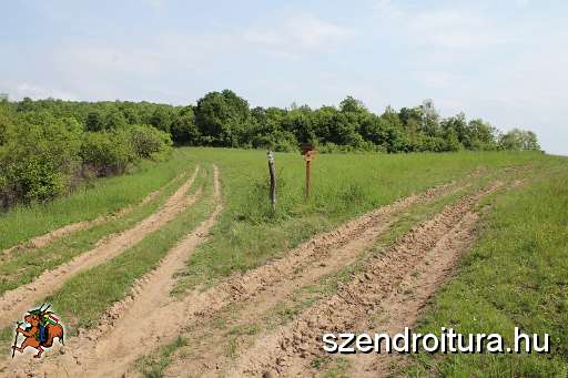 111-vitezlo-2014-album4.JPG