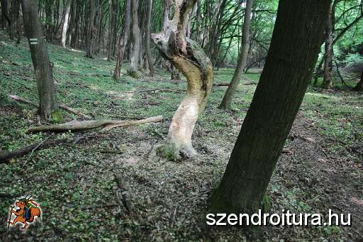 113-vitezlo-2014-album4.JPG