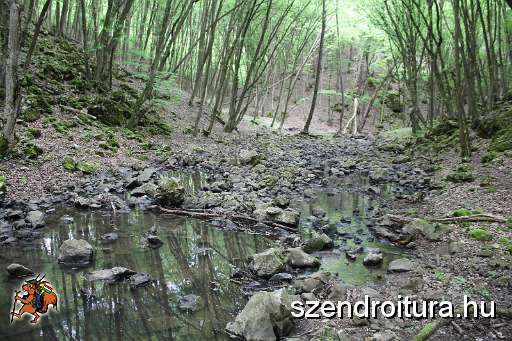 115-vitezlo-2014-album4.JPG