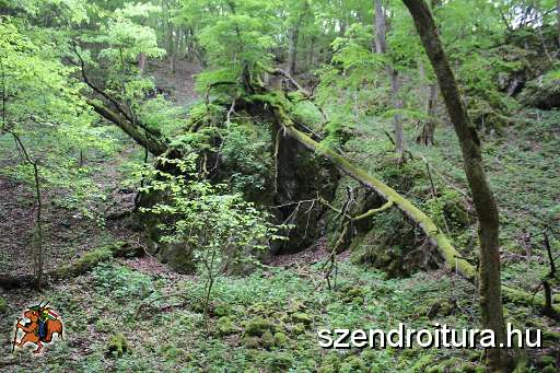 121-vitezlo-2014-album4.JPG