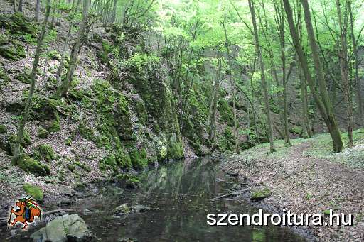 123-vitezlo-2014-album4.JPG