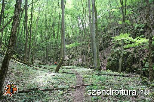125-vitezlo-2014-album4.JPG