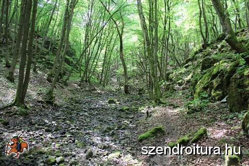 128-vitezlo-2014-album4.JPG