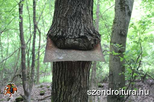 130-vitezlo-2014-album4.JPG