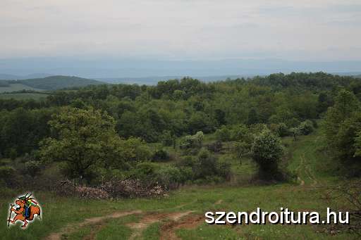 190-vitezlo-2014-album4.JPG
