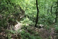 108-vitezlo-2014-album4