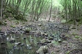 115-vitezlo-2014-album4