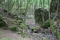 117-vitezlo-2014-album4