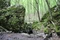 119-vitezlo-2014-album4