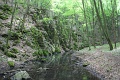 123-vitezlo-2014-album4