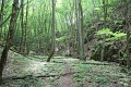 125-vitezlo-2014-album4