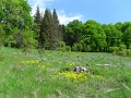 05_07_XXXI_Bukki_TT_106