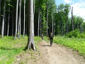 05_07_XXXI_Bukki_TT_108