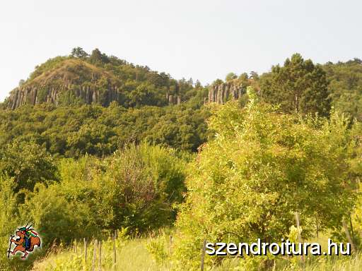 07_03_OKT_tapolca_100.JPG