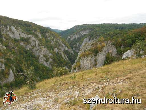 08_19_Szadelo_103.JPG