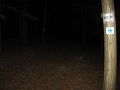08_30_Bodvarako_jelfestes_103