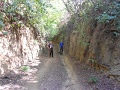 09_13_Tokaji_Bortura_TT_102