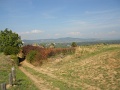 09_13_Tokaji_Bortura_TT_103