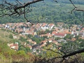 09_13_Tokaji_Bortura_TT_104